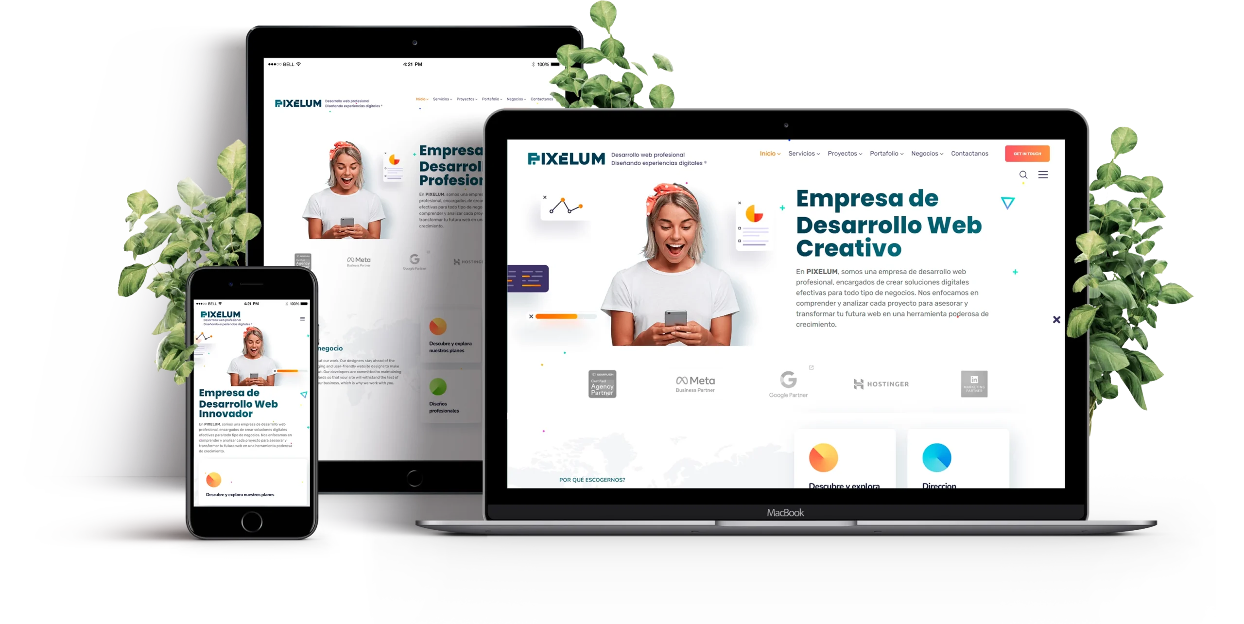 Desarrollo web en colombia